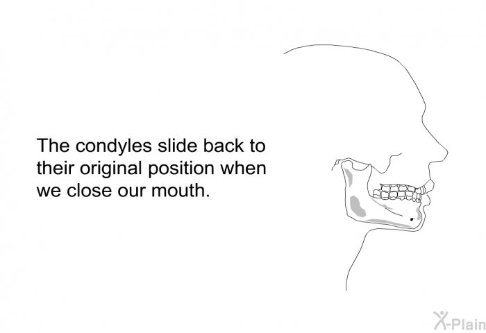 The condyles slide back to their original position when we close our mouth.