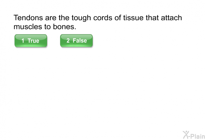 Tendons are the tough cords of tissue that attach muscles to bones.