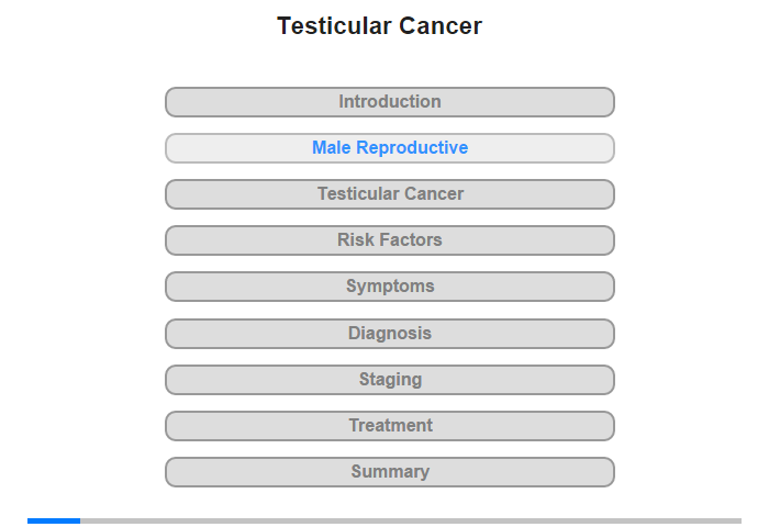 The Male Reproductive System