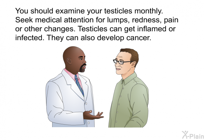 You should examine your testicles monthly. Seek medical attention for lumps, redness, pain or other changes. Testicles can get inflamed or infected. They can also develop cancer.