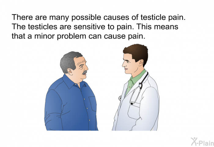 There are many possible causes of testicle pain. The testicles are sensitive to pain. This means that a minor problem can cause pain.