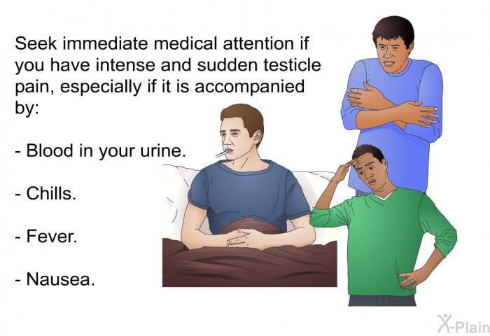Seek immediate medical attention if you have intense and sudden testicle pain, especially if it is accompanied by:  Blood in your urine. Chills. Fever. Nausea.