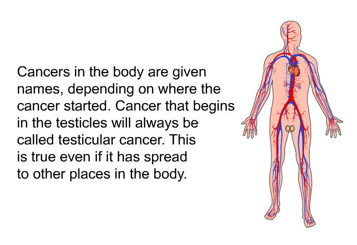 Cancers in the body are given names, depending on where the cancer started. Cancer that begins in the testicles will always be called testicular cancer. This is true even if it has spread to other places in the body.