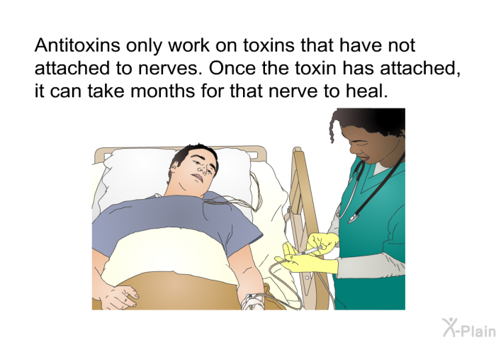 Antitoxins only work on toxins that have not attached to nerves. Once the toxin has attached, it can take months for that nerve to heal.