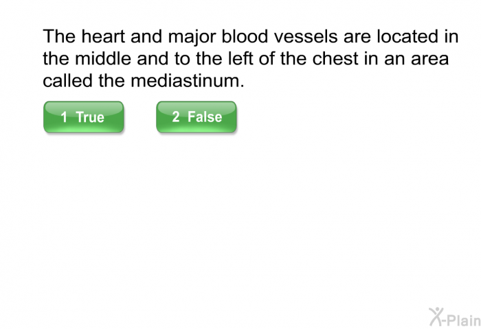 The heart and major blood ves­sels are located in the middle and to the left of the chest in an area called the mediastinum.