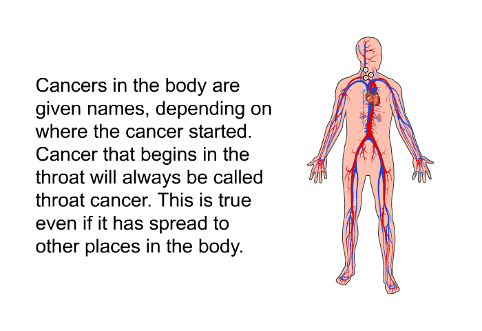 Cancers in the body are given names, depending on where the cancer started. Cancer that begins in the throat will always be called throat cancer. This is true even if it has spread to other places in the body.