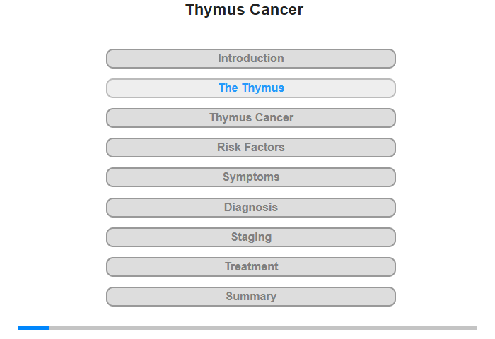 The Thymus