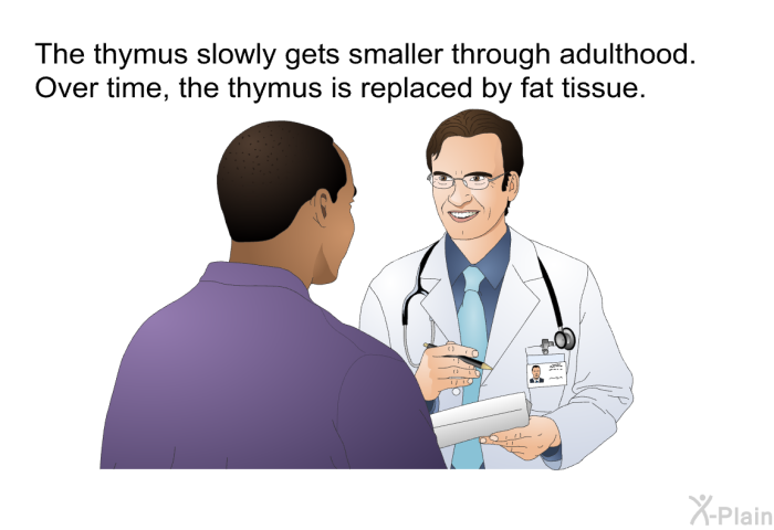 The thymus slowly gets smaller through adulthood. Over time, the thymus is replaced by fat tissue.