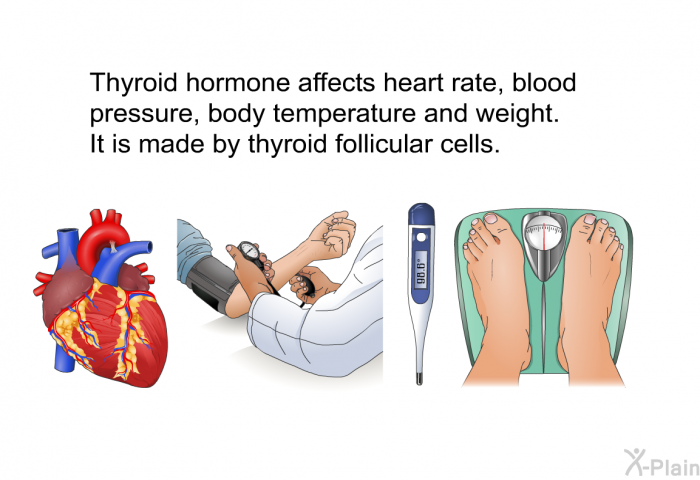 Thyroid hormone affects heart rate, blood pressure, body temperature and weight. It is made by thyroid follicular cells.