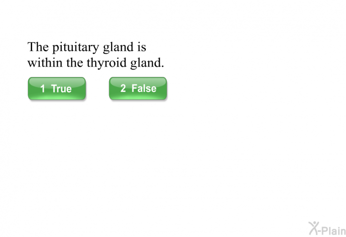 The pituitary gland is within the thyroid gland.