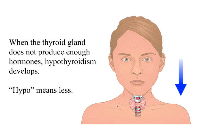 When the thyroid gland does not produce enough hormones, hypothyroidism develops. “Hypo” means less.