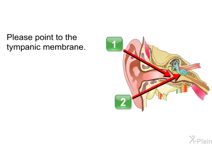 Please point to the tympanic membrane.