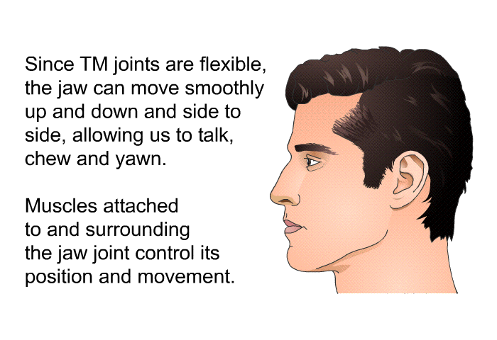 Since TM joints are flexible, the jaw can move smoothly up and down and side to side, allowing us to talk, chew and yawn. Muscles attached to and surrounding the jaw joint control its position and movement.