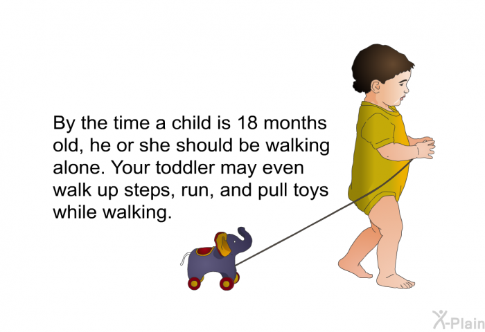 By the time a child is 18 months old, he or she should be walking alone. Your toddler may even walk up steps, run, and pull toys while walking.