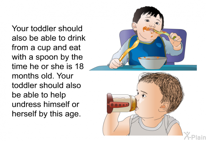 Your toddler should also be able to drink from a cup and eat with a spoon by the time he or she is 18 months old. Your toddler should also be able to help undress himself or herself by this age.