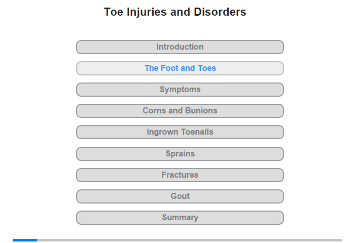 The Foot and Toes