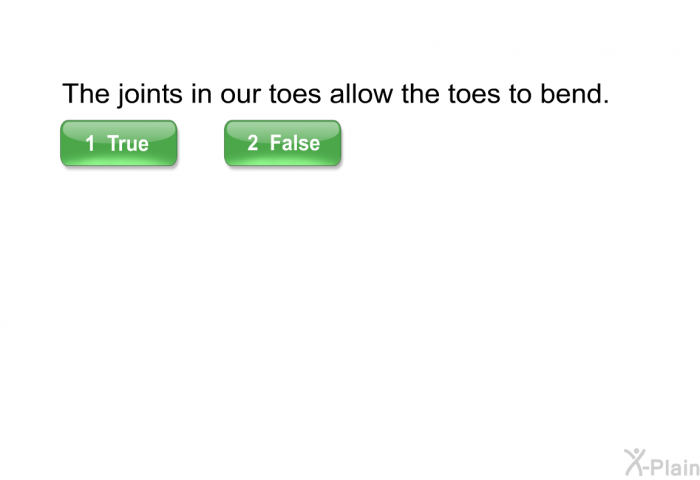 The joints in our toes allow the toes to bend.