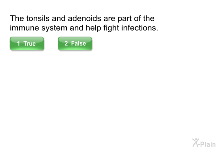 The tonsils and adenoids are part of the immune system and help fight infections.