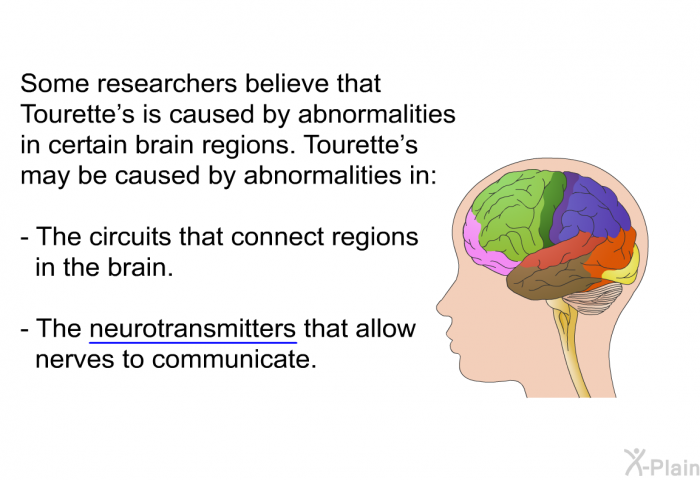 Some researchers believe that Tourette's is caused by abnormalities in certain brain regions. Tourette's may be caused by abnormalities in:  The circuits that connect regions in the brain. The neurotransmitters that allow nerves to communicate.
