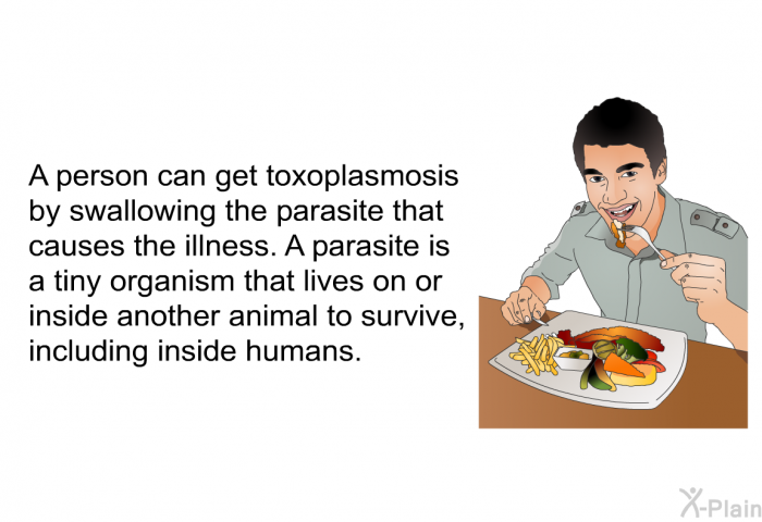 A person can get toxoplasmosis by swallowing the parasite that causes the illness. A parasite is a tiny organism that lives on or inside another animal to survive, including inside humans.