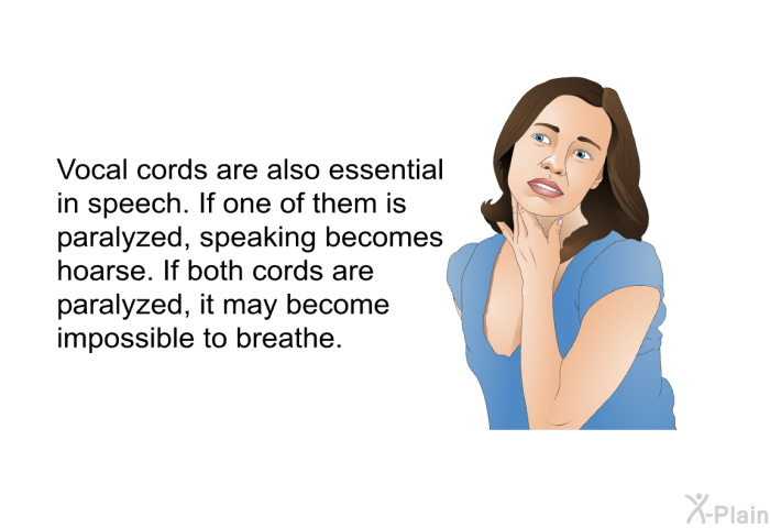 Vocal cords are also essential in speech. If one of them is paralyzed, speaking becomes hoarse. If both cords are paralyzed, it may become impossible to breathe.