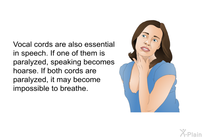 Vocal cords are also essential in speech. If one of them is paralyzed, speaking becomes hoarse. If both cords are paralyzed, it may become impossible to breathe.