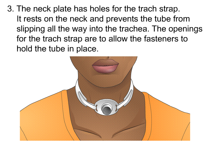 The neck plate has holes for the trach strap. It rests on the neck and prevents the tube from slipping all the way into the trachea. The openings for the trach strap are to allow the fasteners to hold the tube in place.