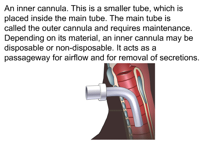 An inner cannula. This is a smaller tube, which is placed inside the main tube. The main tube is called the outer cannula and requires maintenance. Depending on its material, an inner cannula may be disposable or non-disposable. It acts as a passageway for airflow and for removal of secretions.