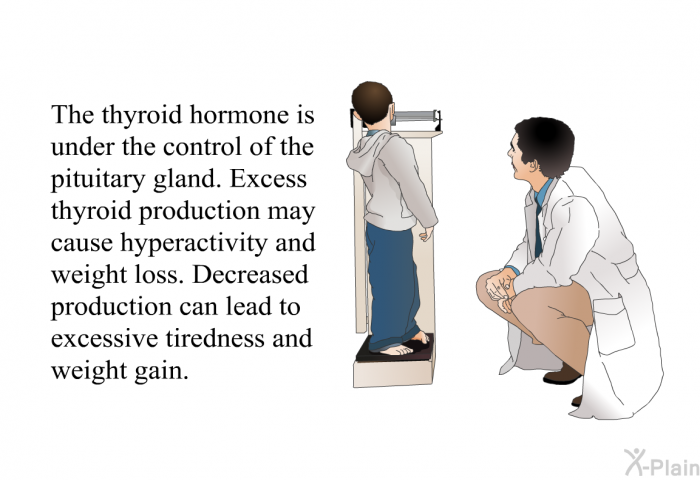 The thyroid hormone is under the control of the pituitary gland. Excess thyroid production may cause hyperactivity and weight loss. Decreased production can lead to excessive tiredness and weight gain.
