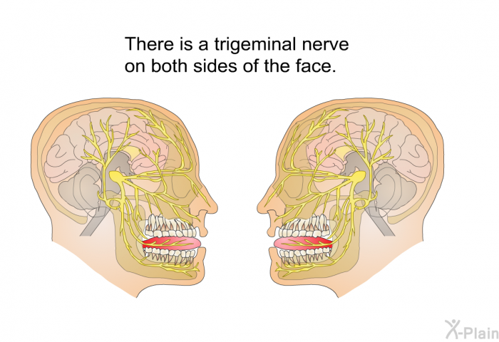 There is a trigeminal nerve on both sides of the face.