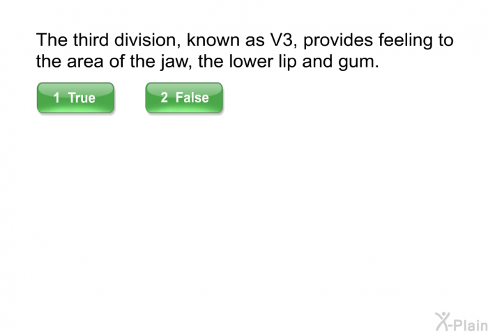 The third division, known as V3, provides feeling to the area of the jaw, the lower lip and gum.