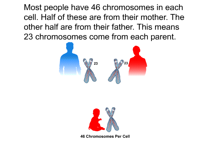 Most people have 46 chromosomes in each cell. Half of these are from their mother. The other half are from their father. This means 23 chromosomes come from each parent.