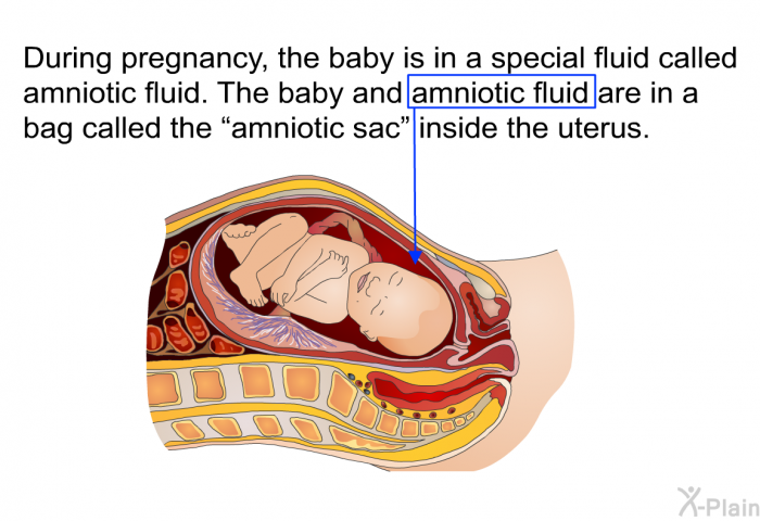During pregnancy, the baby is in a special fluid called amniotic fluid. The baby and amniotic fluid are in a bag called the “amniotic sac” inside the uterus.