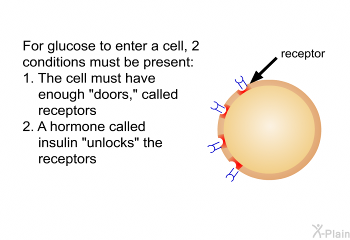 For glucose to enter a cell, 2 conditions must be present:  The cell must have enough “doors,” called receptors A hormone called insulin “unlocks” the receptors