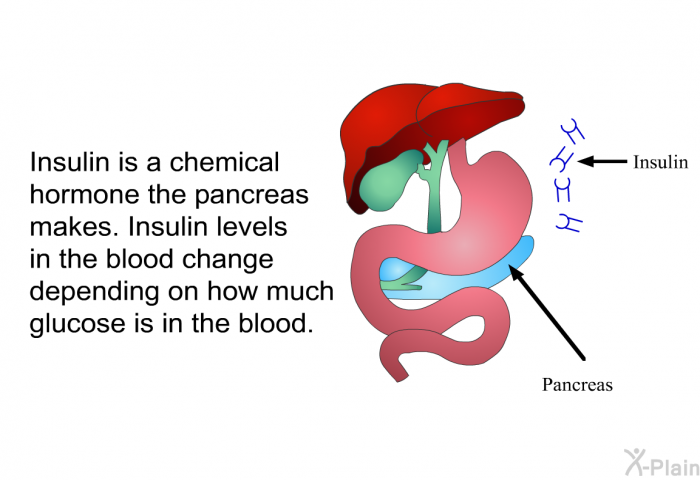 Insulin is a chemical hormone the pancreas makes. Insulin levels in the blood change depending on how much glucose is in the blood.