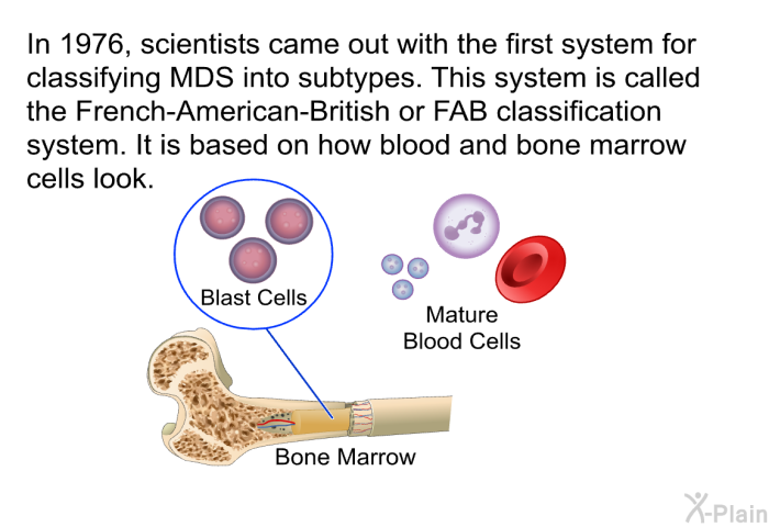 In 1976, scientists came out with the first system for classifying MDS into subtypes. This system is called the French-American-British or FAB classification system. It is based on how blood and bone marrow cells look.