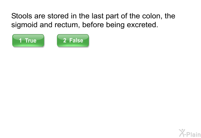 Stools are stored in the last part of the colon, the <I>sigmoid</I> and <I>rectum</I>, before being excreted.