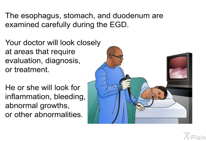 The esophagus, stomach, and duodenum are examined carefully during the EGD. Your doctor will look closely at areas that require evaluation, diagnosis, or treatment. He or she will look for inflammation, bleeding, abnormal growths, or other abnormalities.