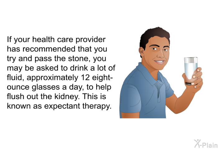 If your health care provider has recommended that you try and pass the stone, you may be asked to drink a lot of fluid, approximately 12 eight-ounce glasses a day, to help flush out the kidney. This is known as expectant therapy.