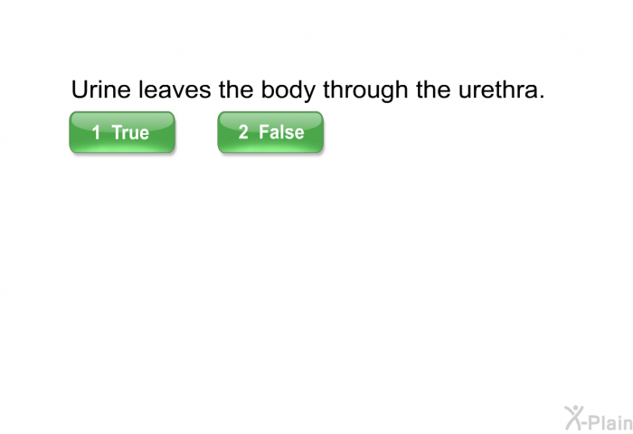 Urine leaves the body through the urethra.