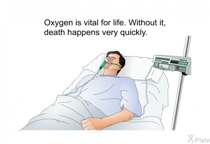 Oxygen is vital for life. Without it, death happens very quickly.