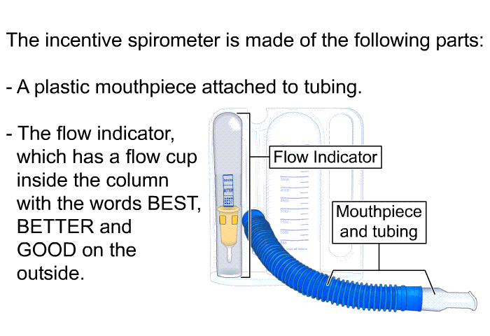 The incentive spirometer is made of the following parts:  A plastic mouthpiece attached to tubing. The flow indicator, which has a flow cup inside the column with the words BEST, BETTER and GOOD on the outside.