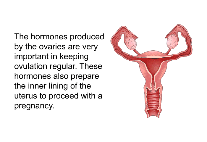 The hormones produced by the ovaries are very important in keeping ovulation regular. These hormones also prepare the inner lining of the uterus to proceed with a pregnancy.
