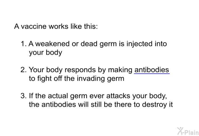 A vaccine works like this:  A weakened or dead germ is injected into your body Your body responds by making antibodies to fight off the invading germ If the actual germ ever attacks your body, the antibodies will still be there to destroy it