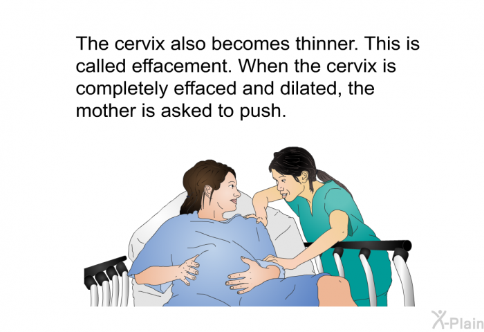 The cervix also becomes thinner. This is called effacement. When the cervix is completely effaced and dilated, the mother is asked to push.