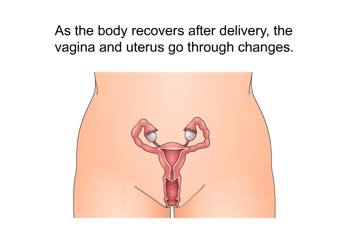 As the body recovers after delivery, the vagina and uterus go through changes.