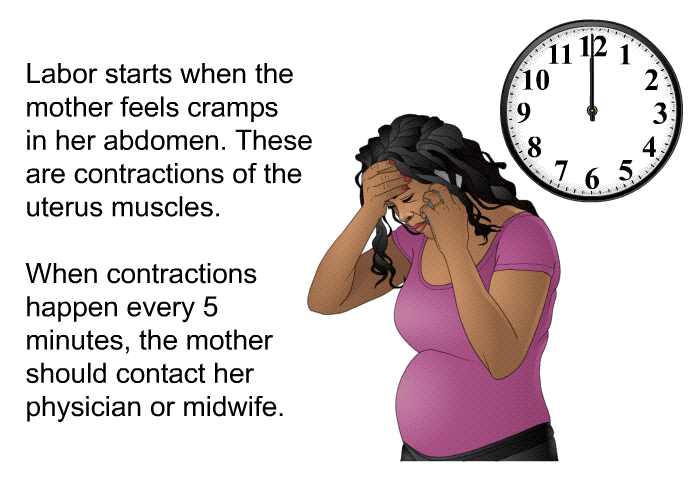 Labor starts when the mother feels cramps in her abdomen. These are contractions of the uterus muscles. When contractions happen every 5 minutes, the mother should contact her physician or midwife.