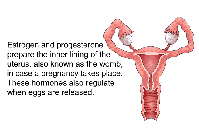 Estrogen and progesterone prepare the inner lining of the uterus, also known as the womb, in case a pregnancy takes place. These hormones also regulate when eggs are released.