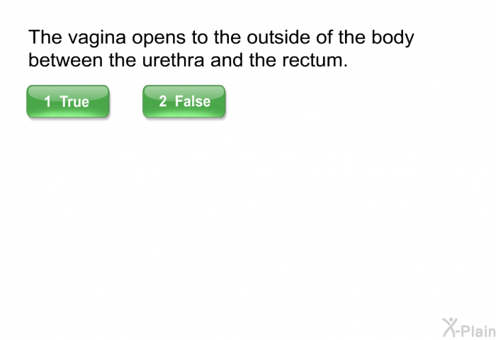 The vagina opens to the outside of the body between the urethra and the rectum.