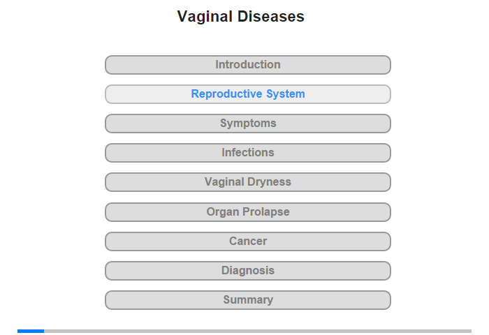 Female Reproductive System